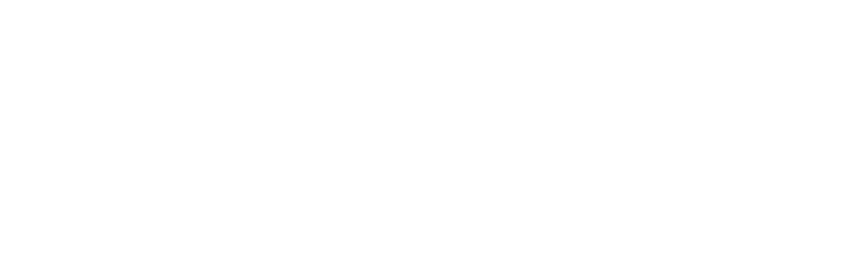 Lifetime Retirement Income